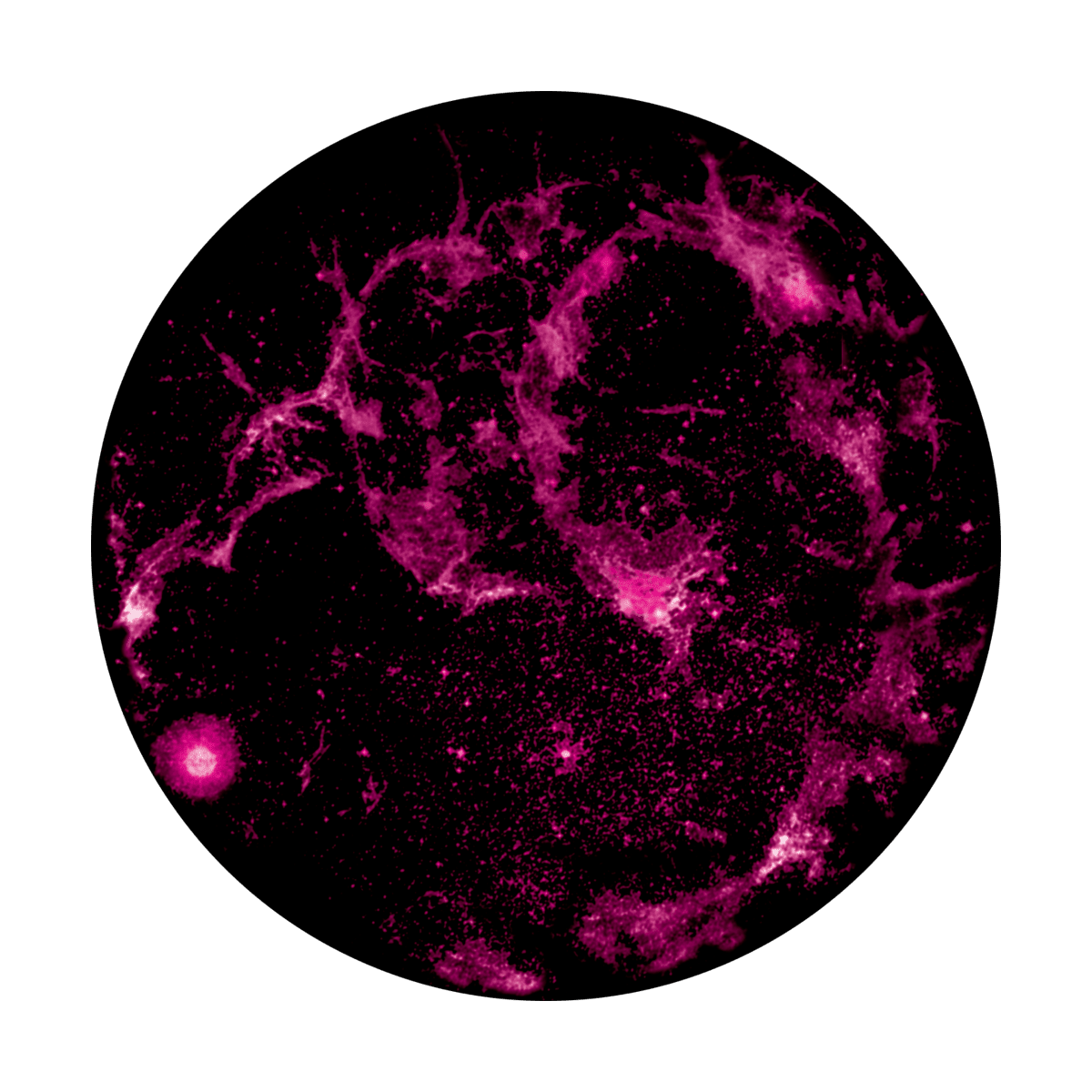 Nebula 2 - Apollo Gobos