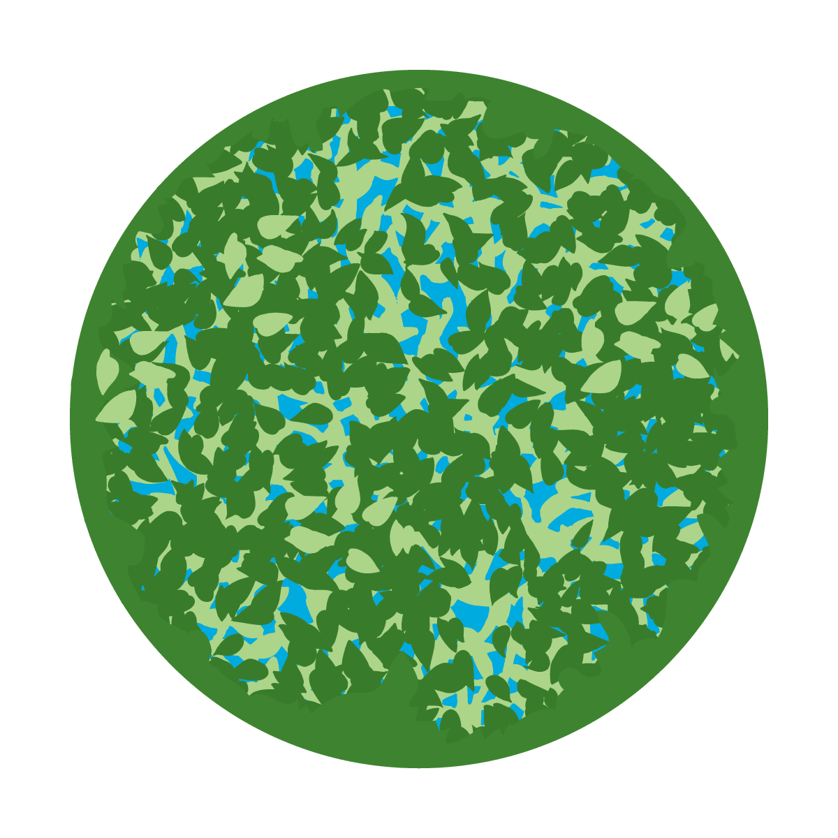 Dappled Leaves - Apollo Gobos