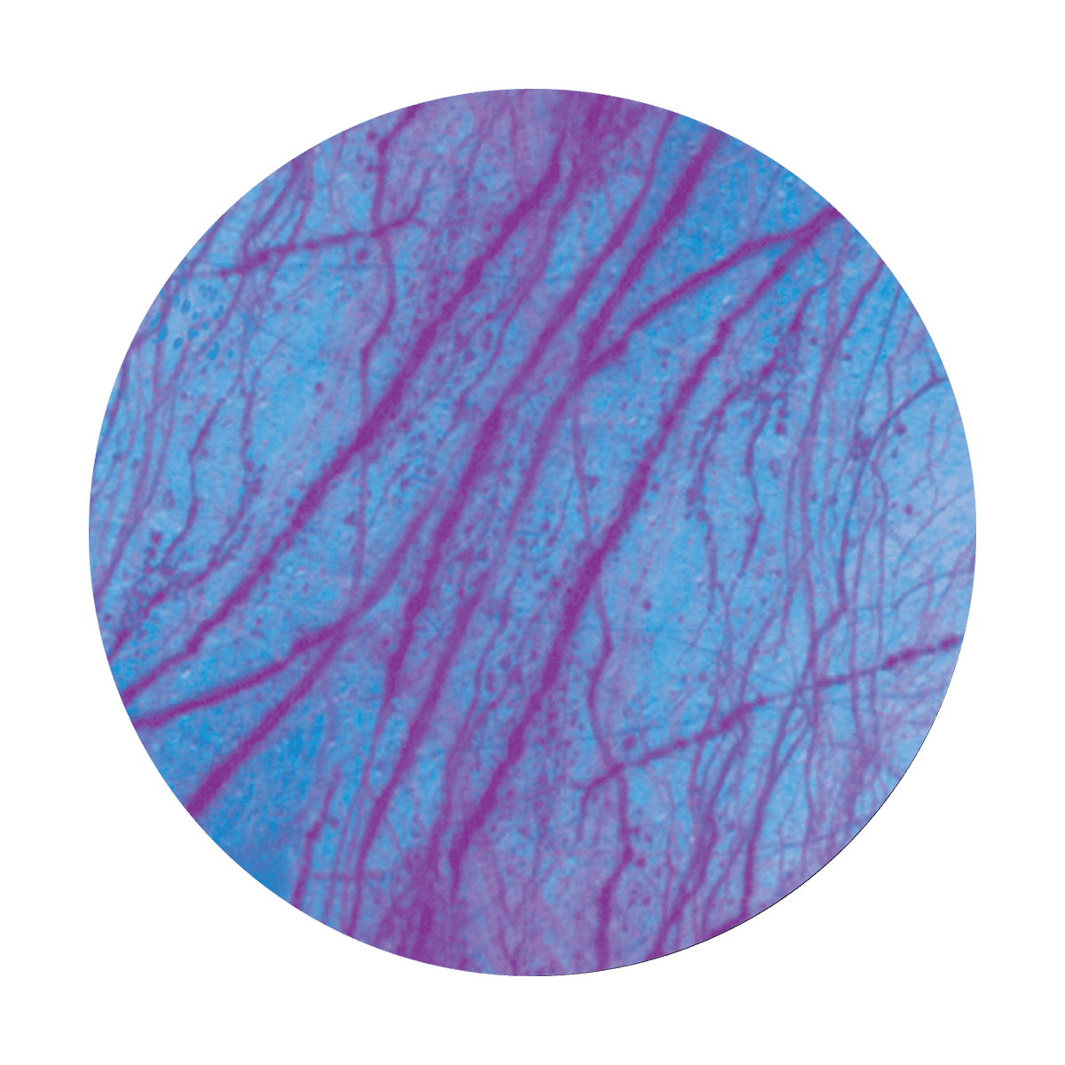 Tissue - Apollo Gobos