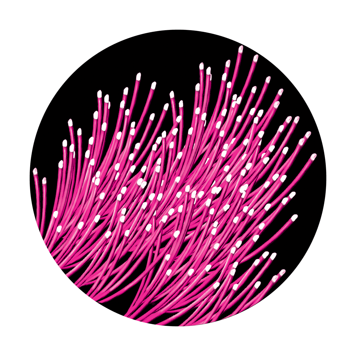 Electric Hair - Apollo Gobos