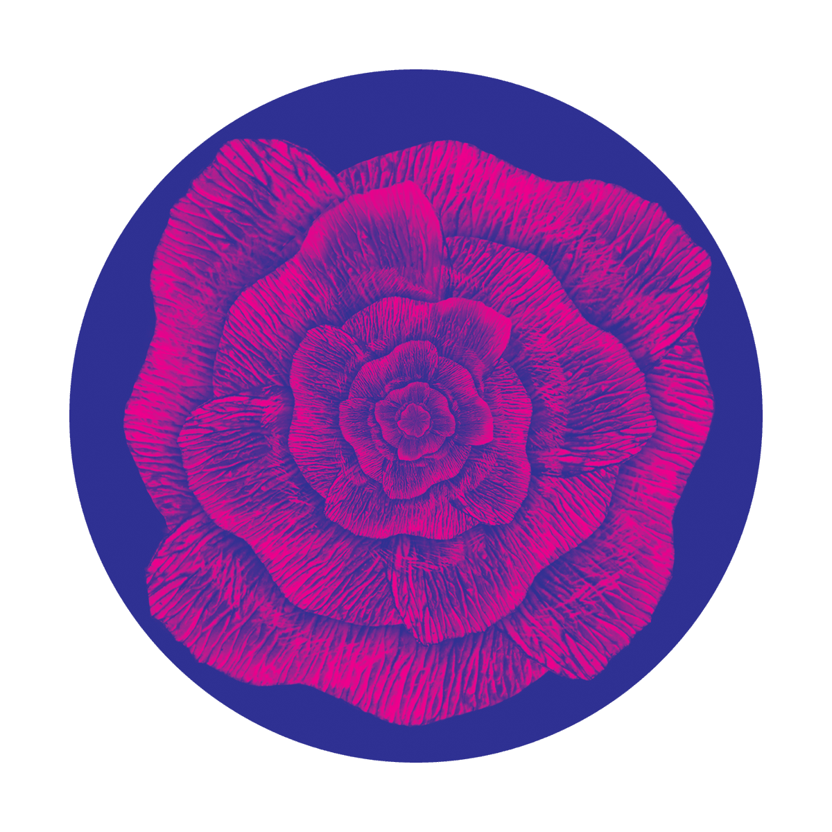 Artistic Flower - Apollo Gobos