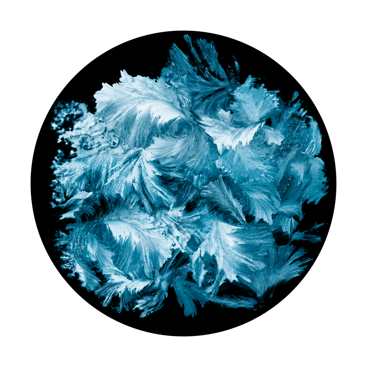 Frost