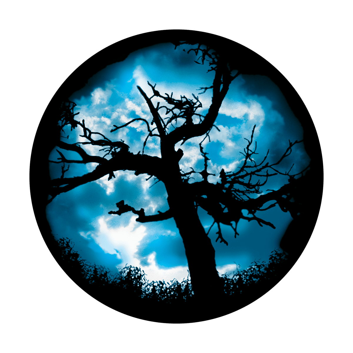 Twilight Tree - Apollo Gobos