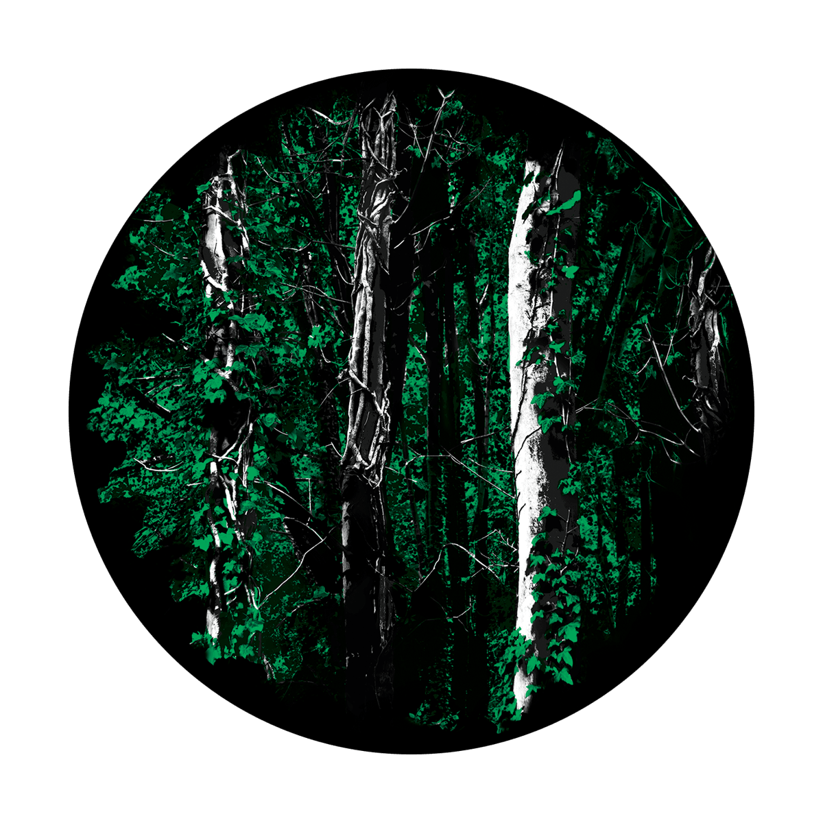 Backwoods - Apollo Gobos