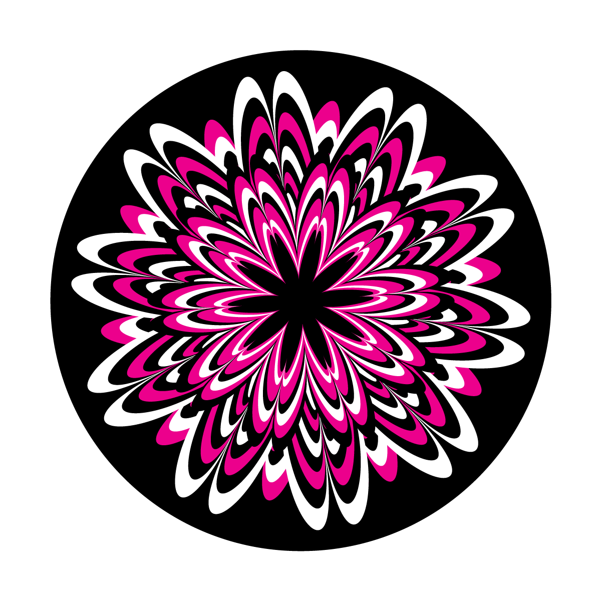 Flower Burst