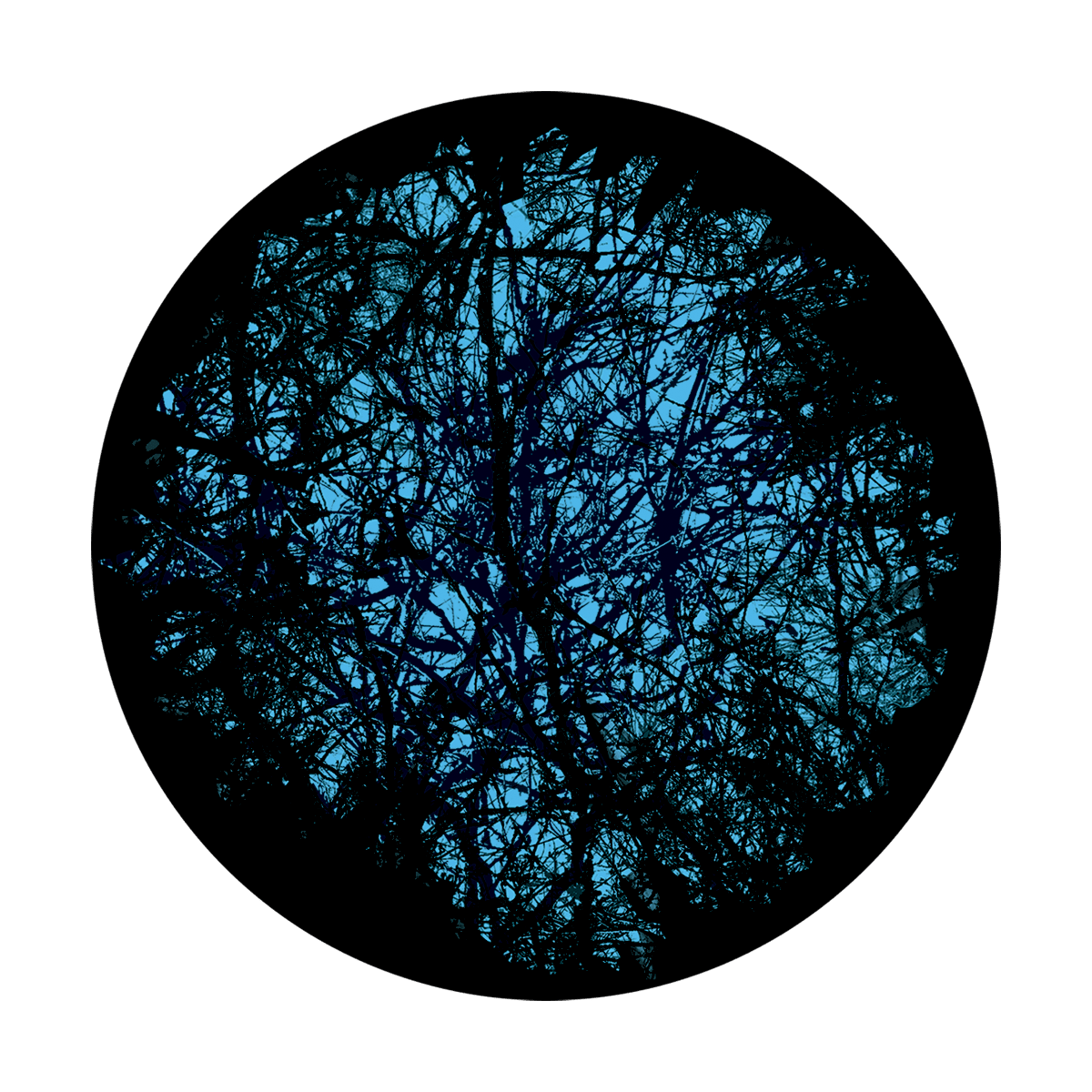 Deep Forest - Apollo Gobos