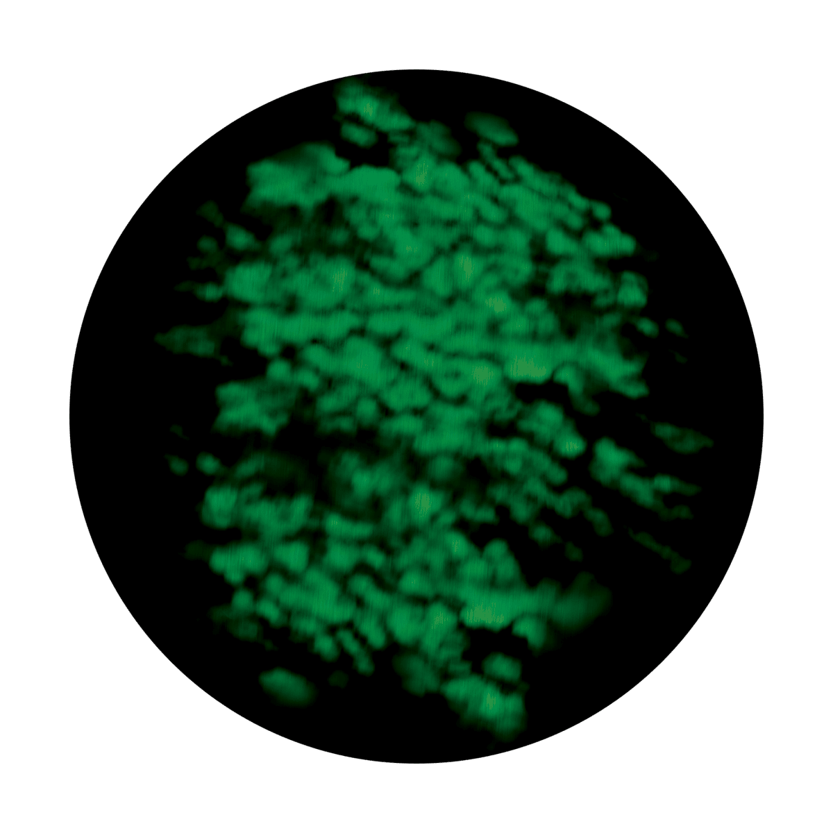 Blurred Greens - Apollo Gobos