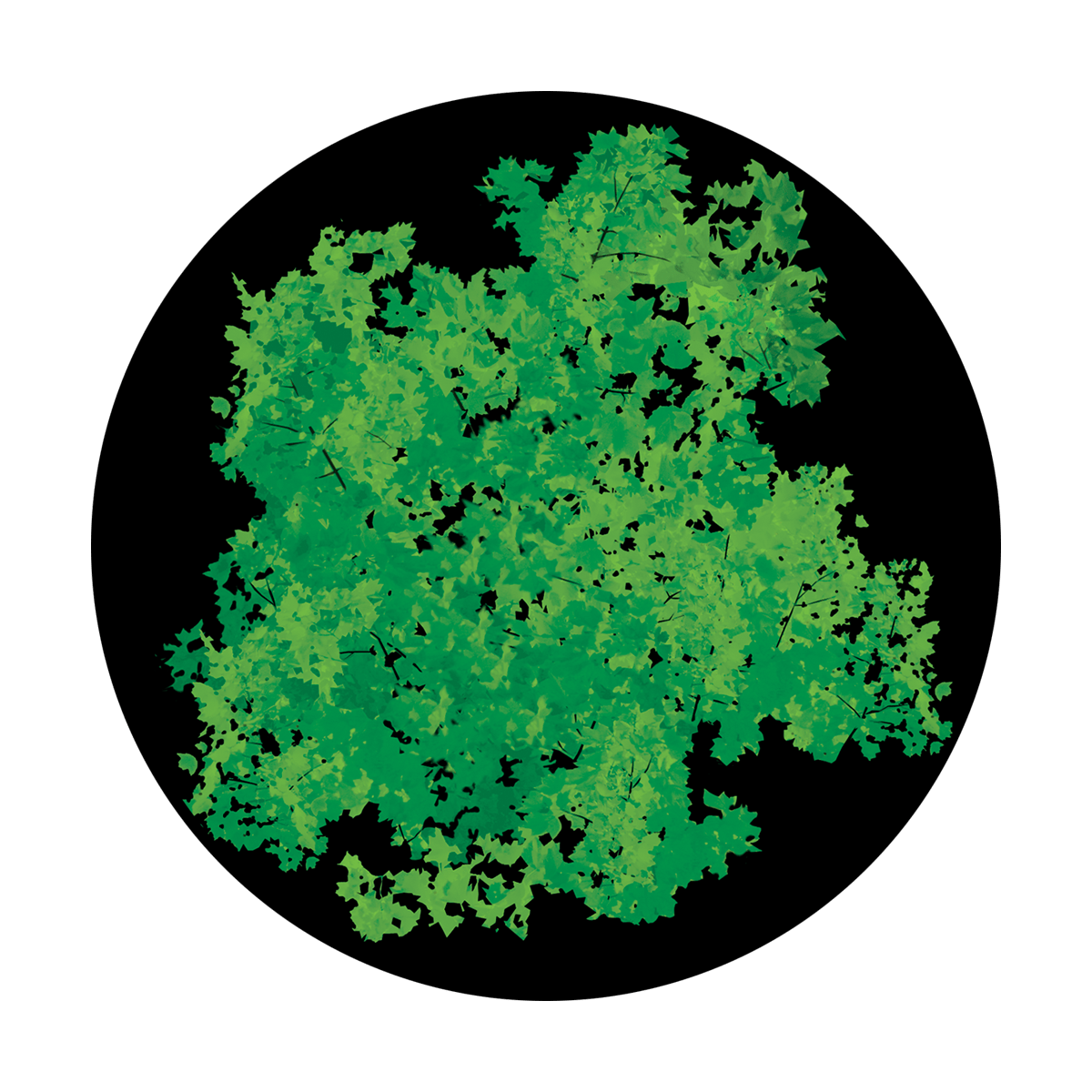 Impressionist Foliage - Apollo Gobos