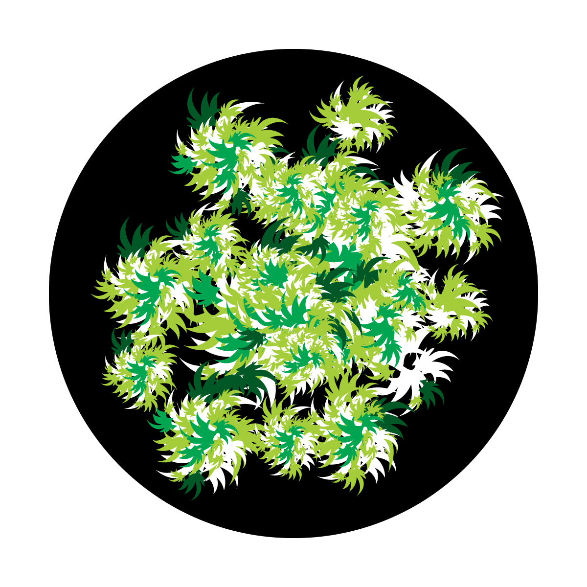 Botanicanoid - Apollo Gobos