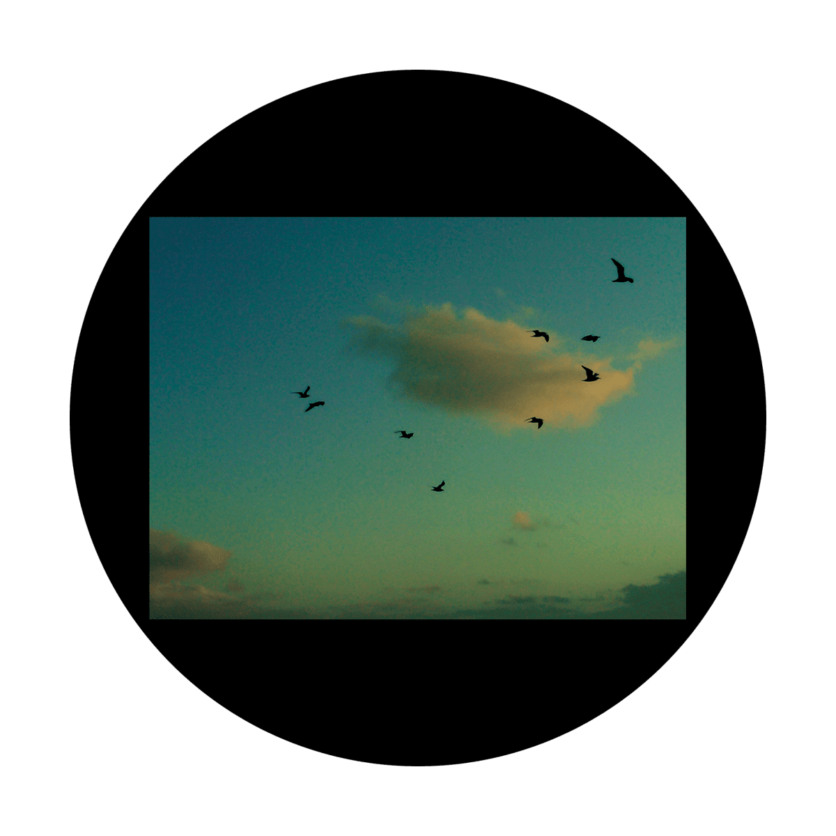 D. Antonakos - In Flight - Apollo Gobos