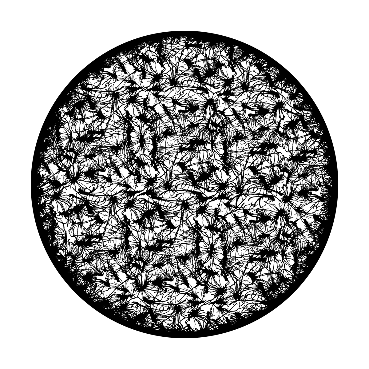 Alien Web