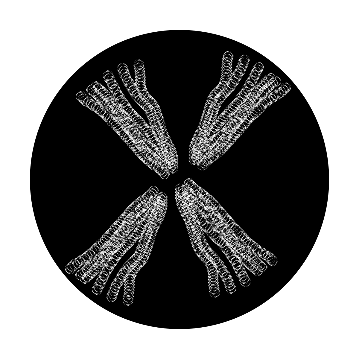 Sweep - Apollo Gobos