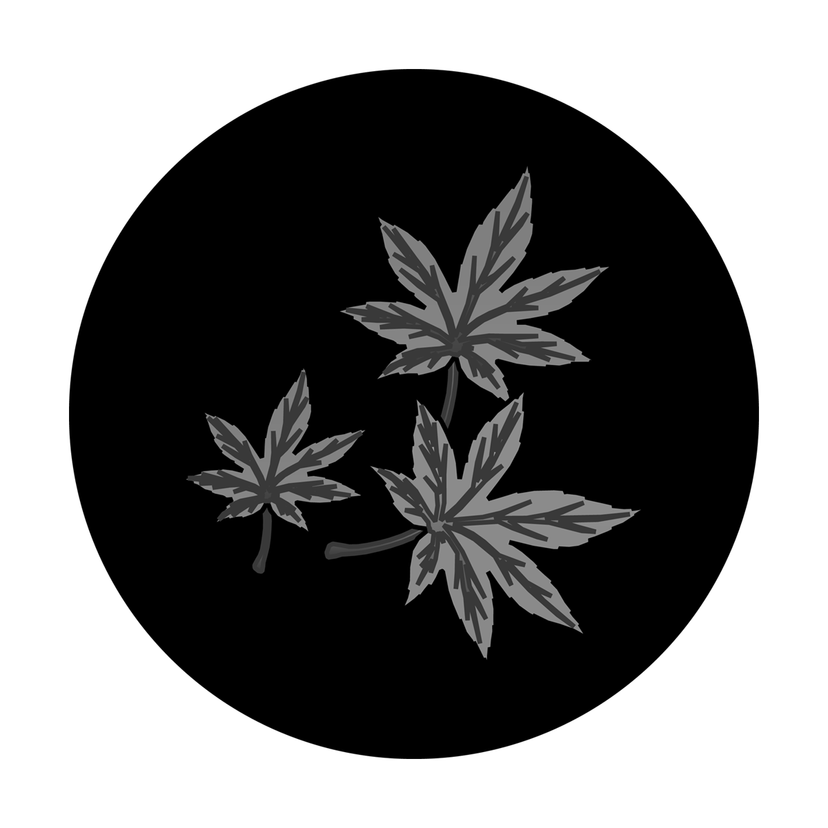 Maple Leaf