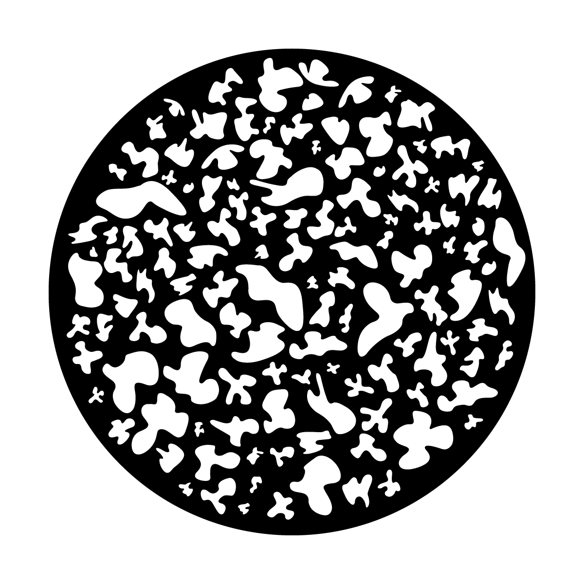 Polymeoba