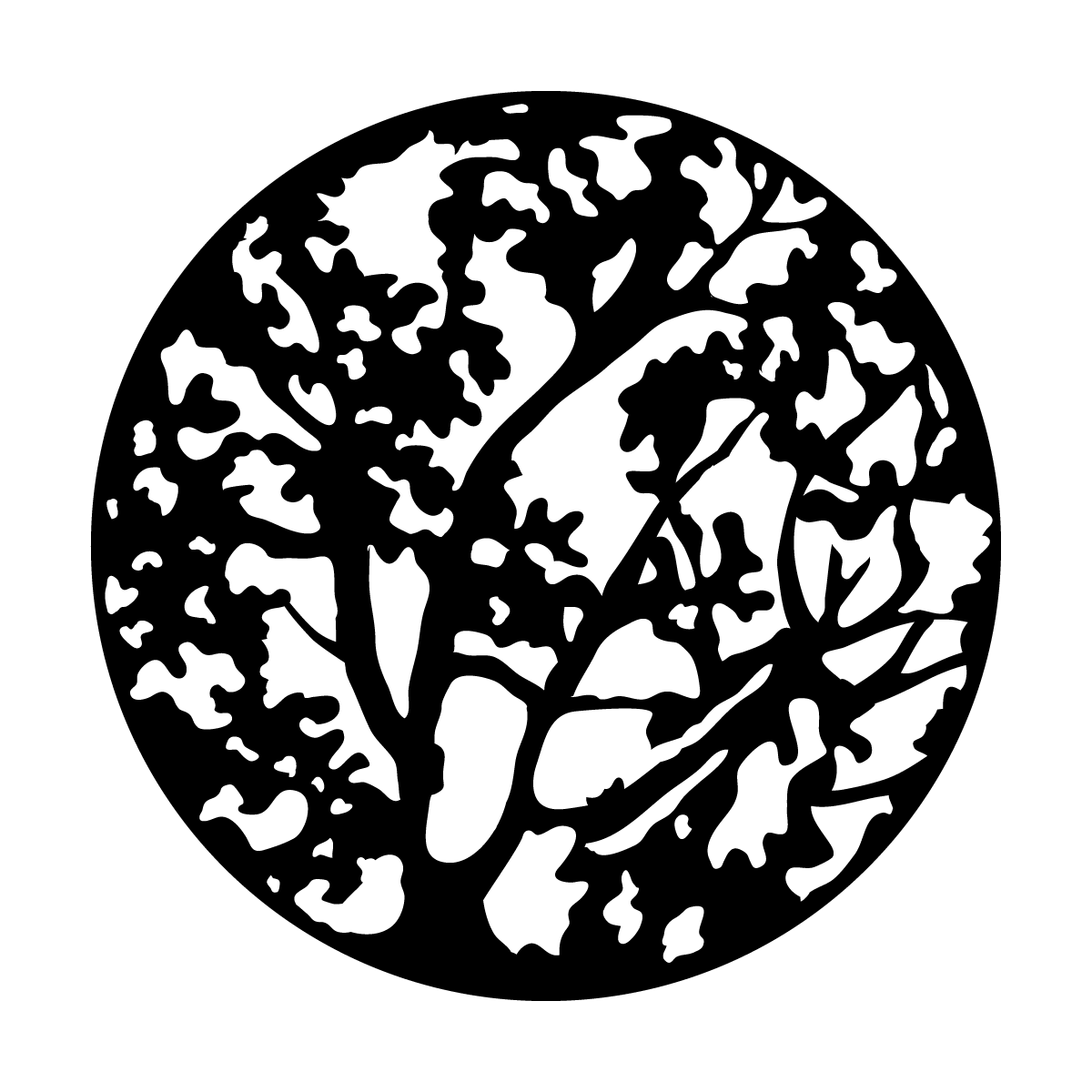 Spring Branches