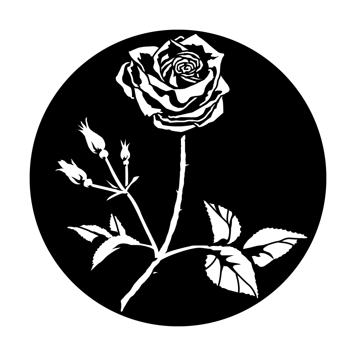 Rose with Stem