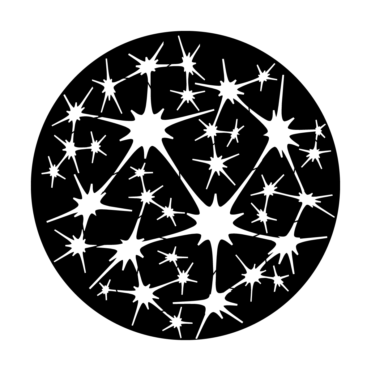 Neurons