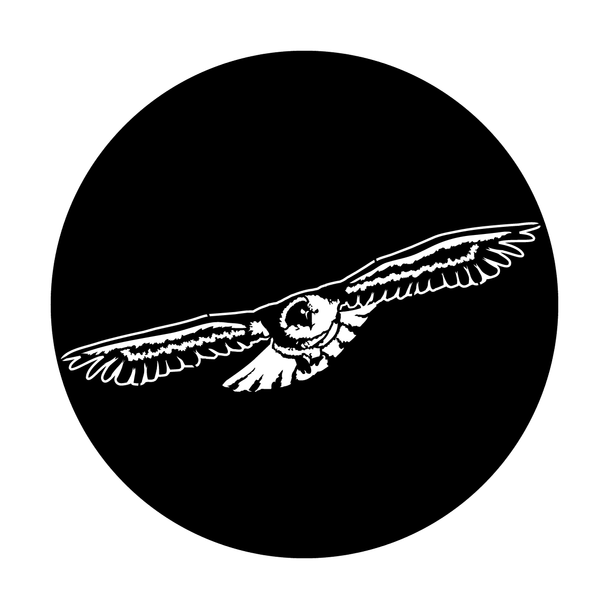 Soaring Eagle - Apollo Gobos