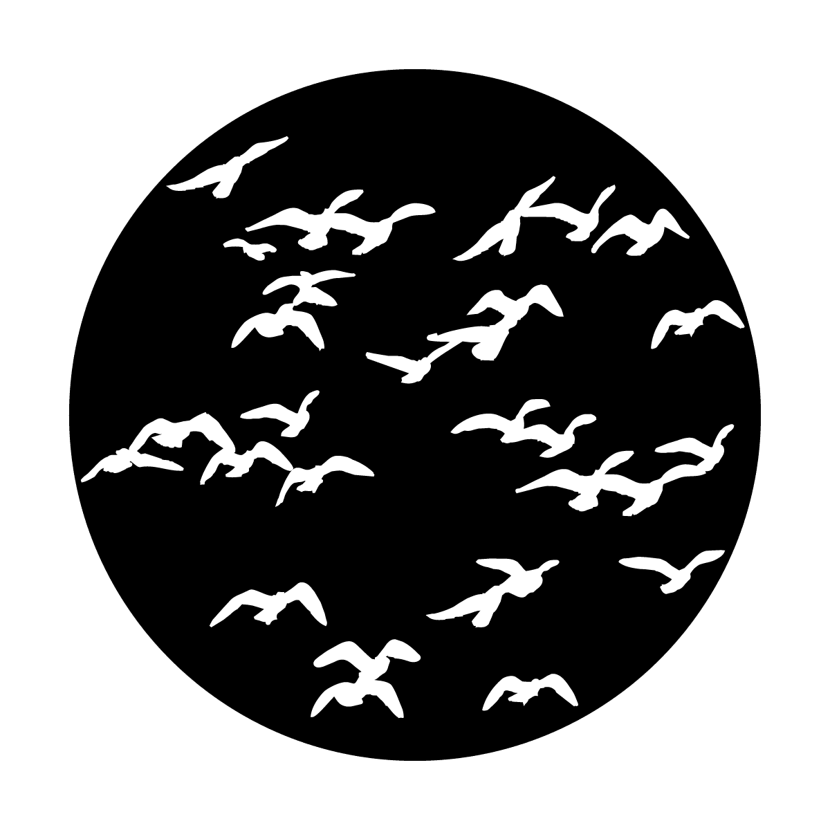 Flock of Birds - Apollo Gobos