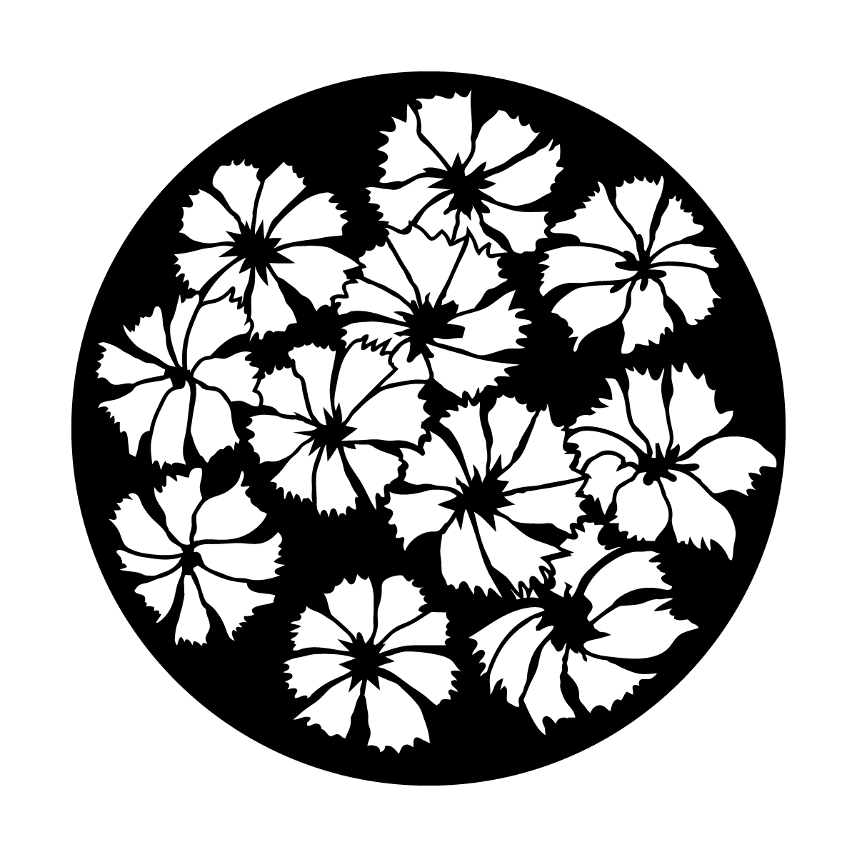 Tropical Blossoms