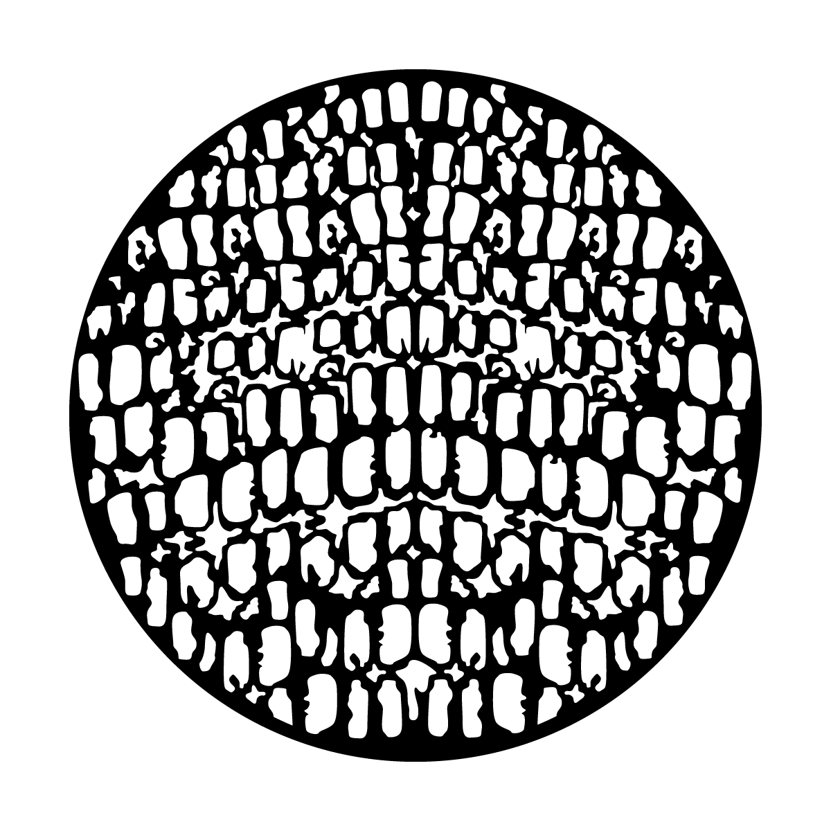 Crocodile