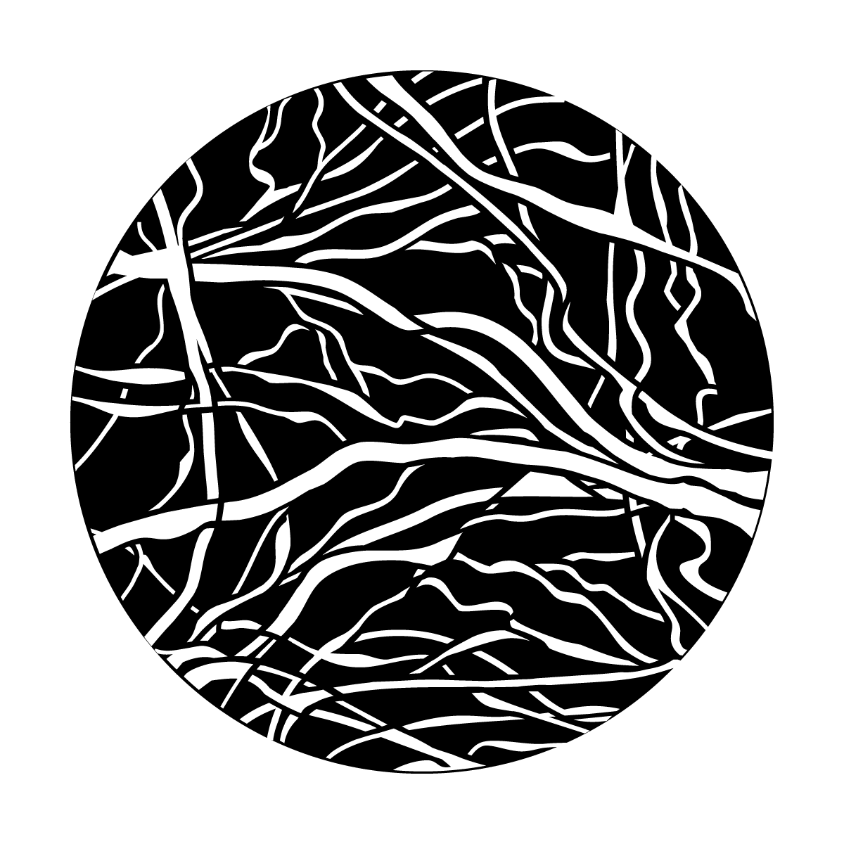Live Wire