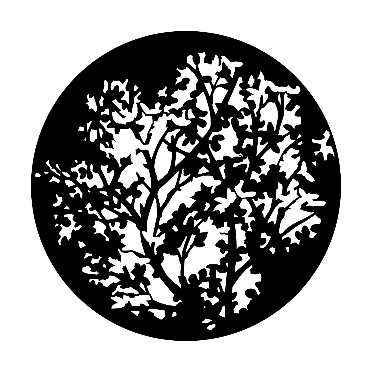 Spring Leaves