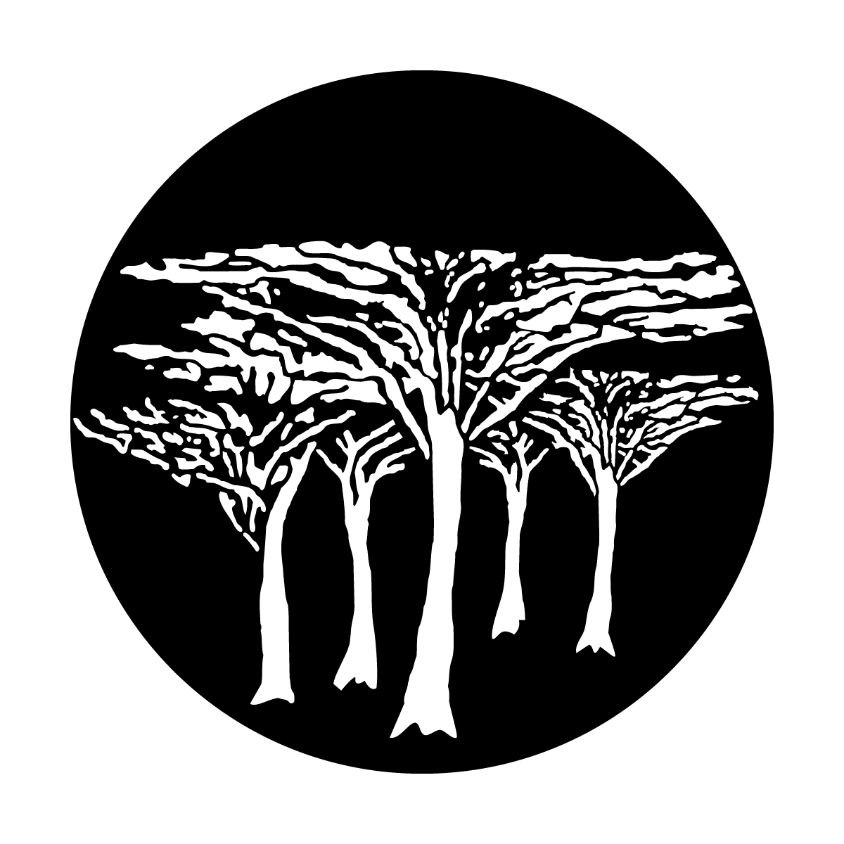 Africa - African Veldt