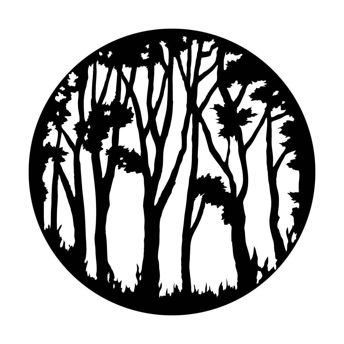 In The Forest