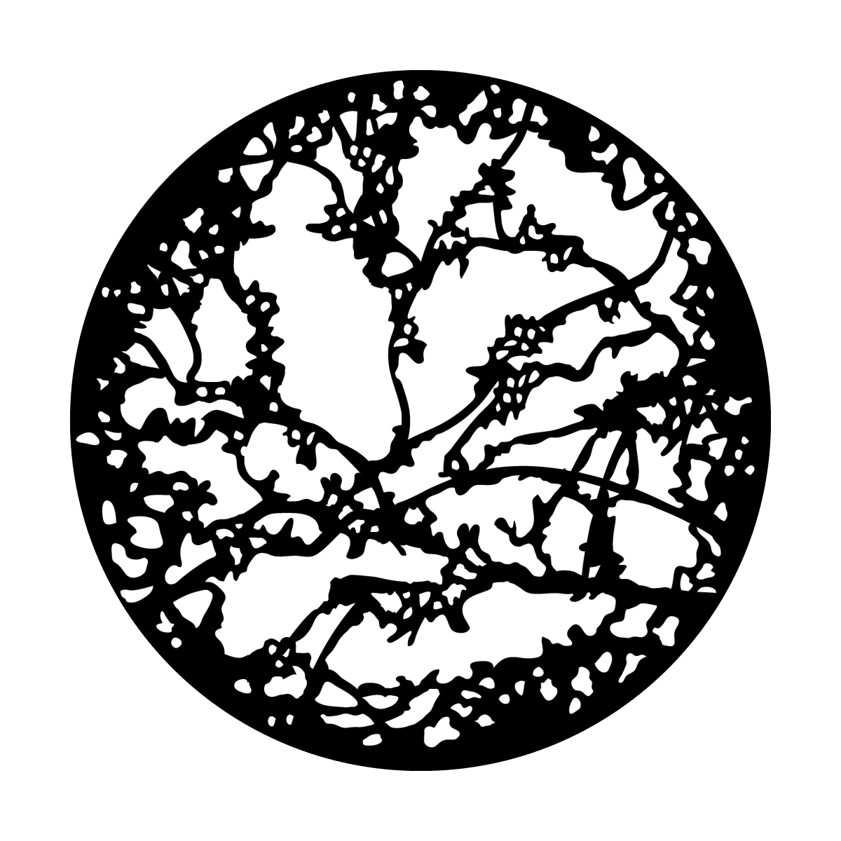 Open Twigs - Apollo Gobos