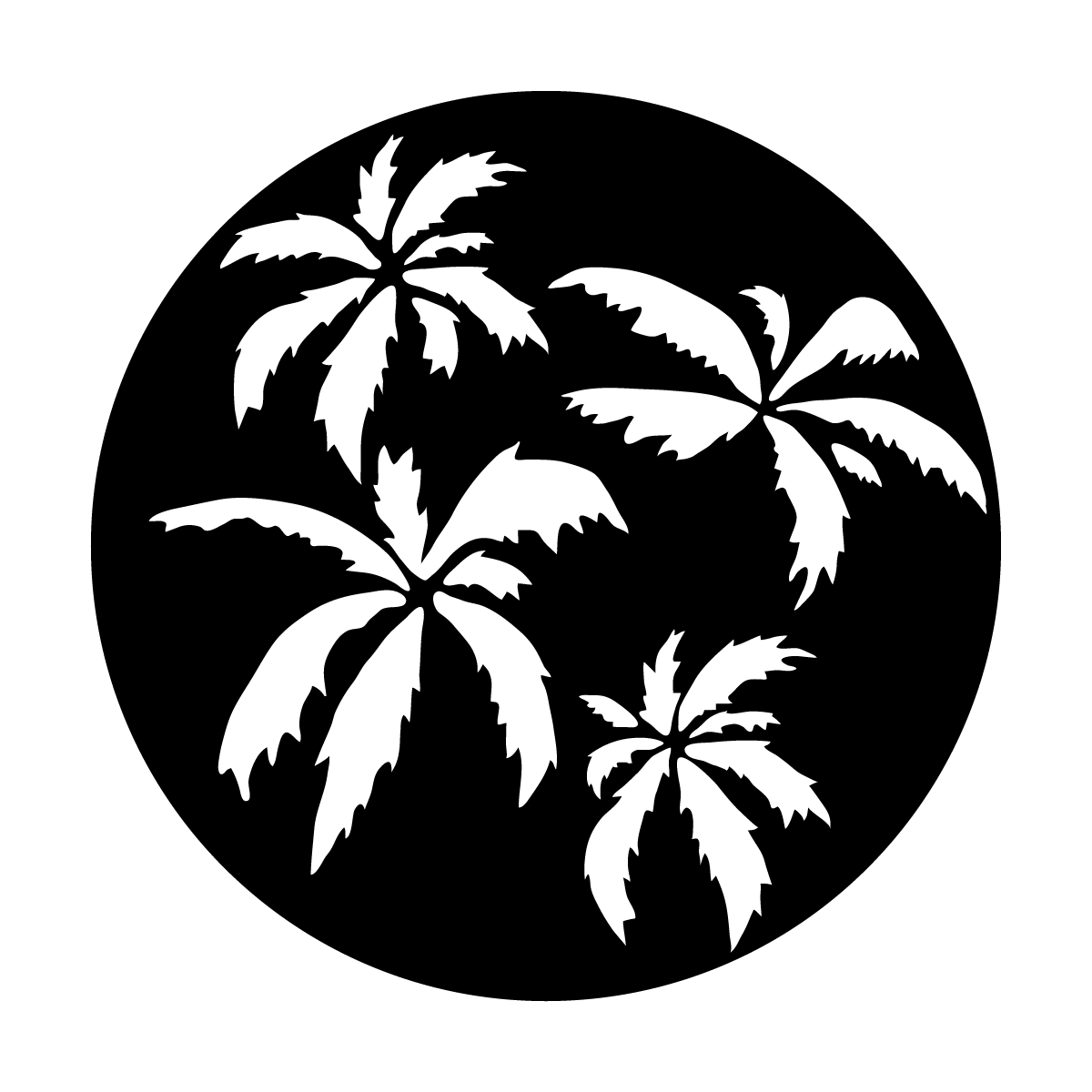 Palm Trees