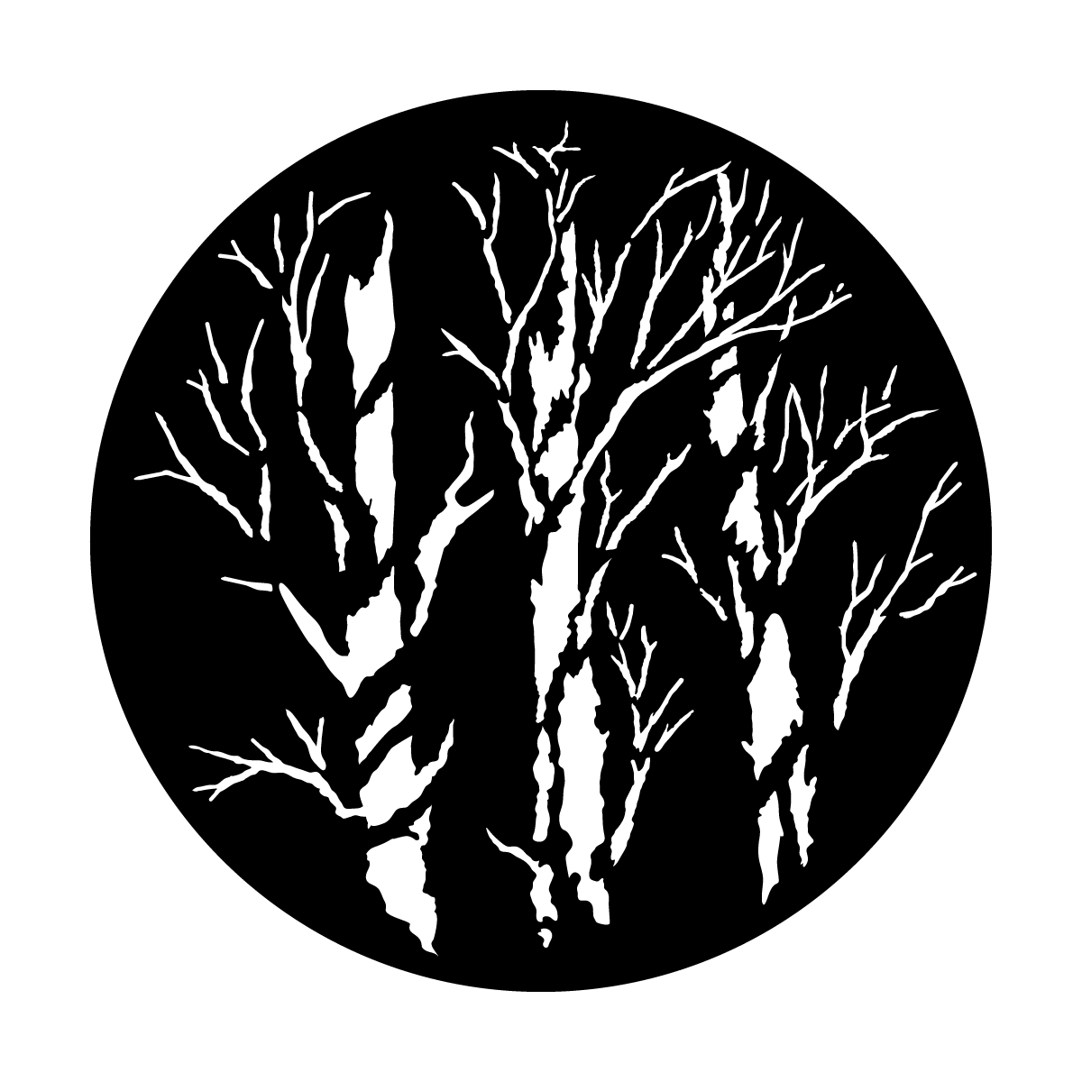 Winter Trees