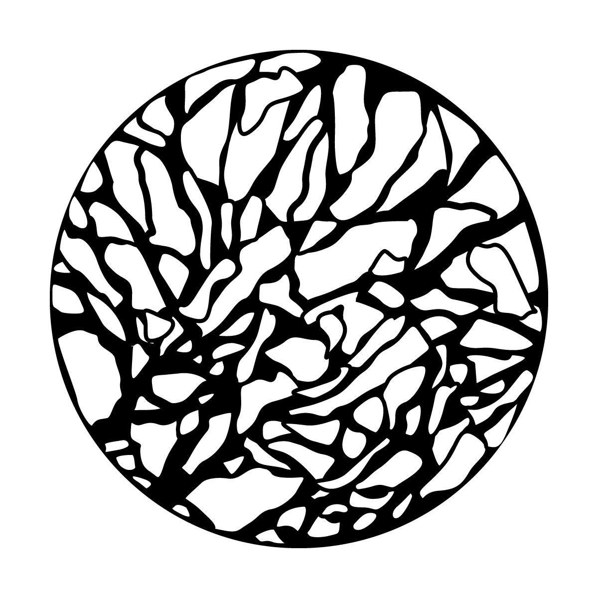 Cracked Rock
