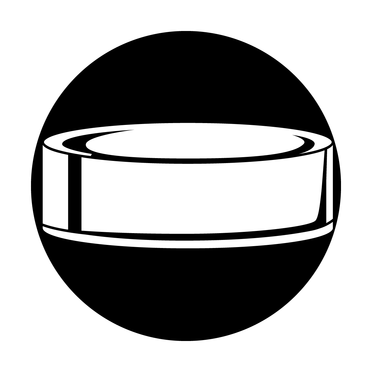 Hockey Puck