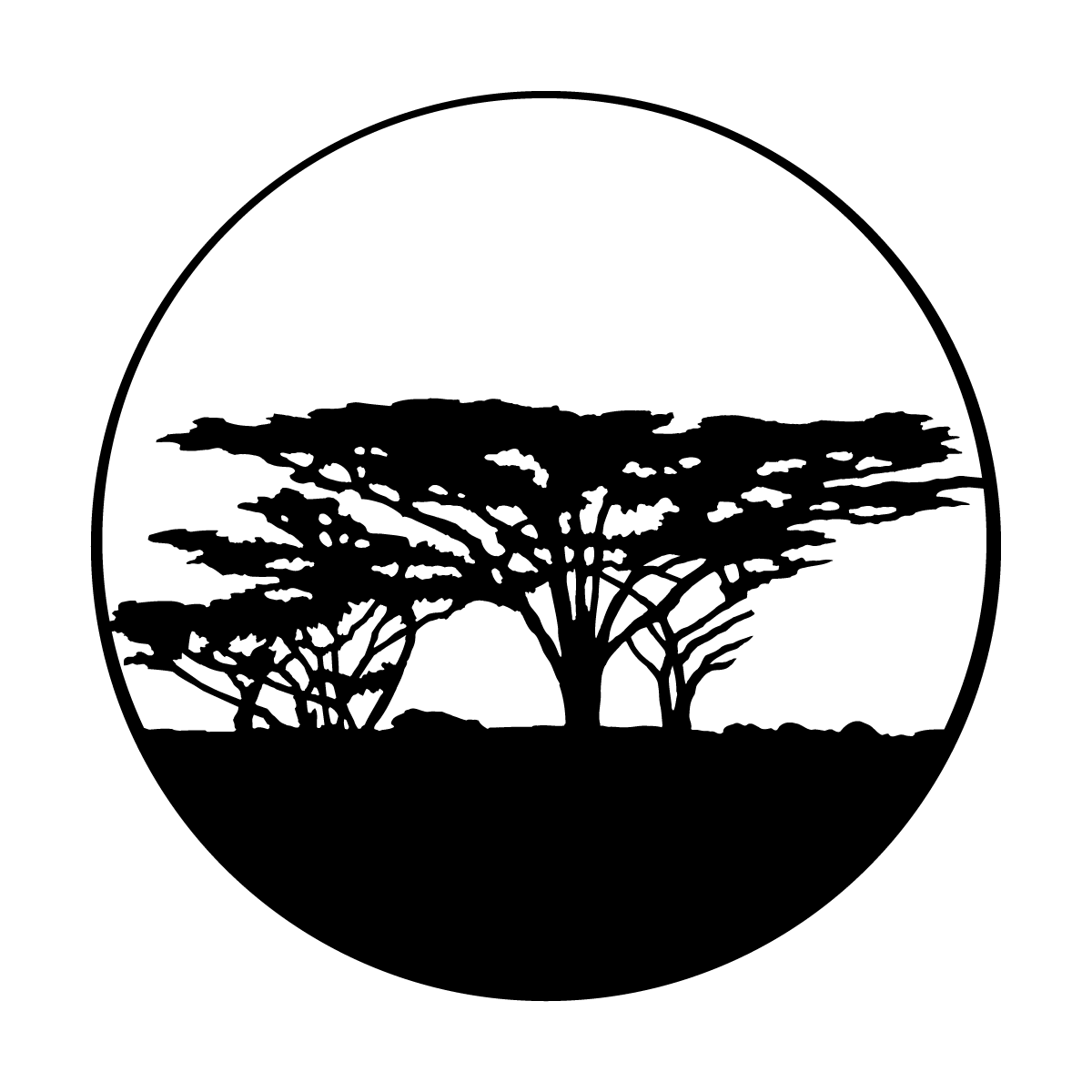 Trees Africa