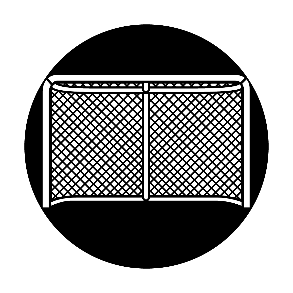 Hockey Net