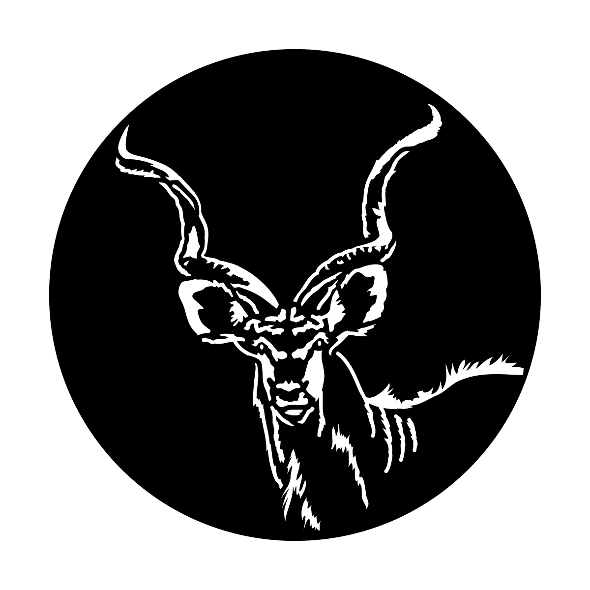 Africa - Kudu