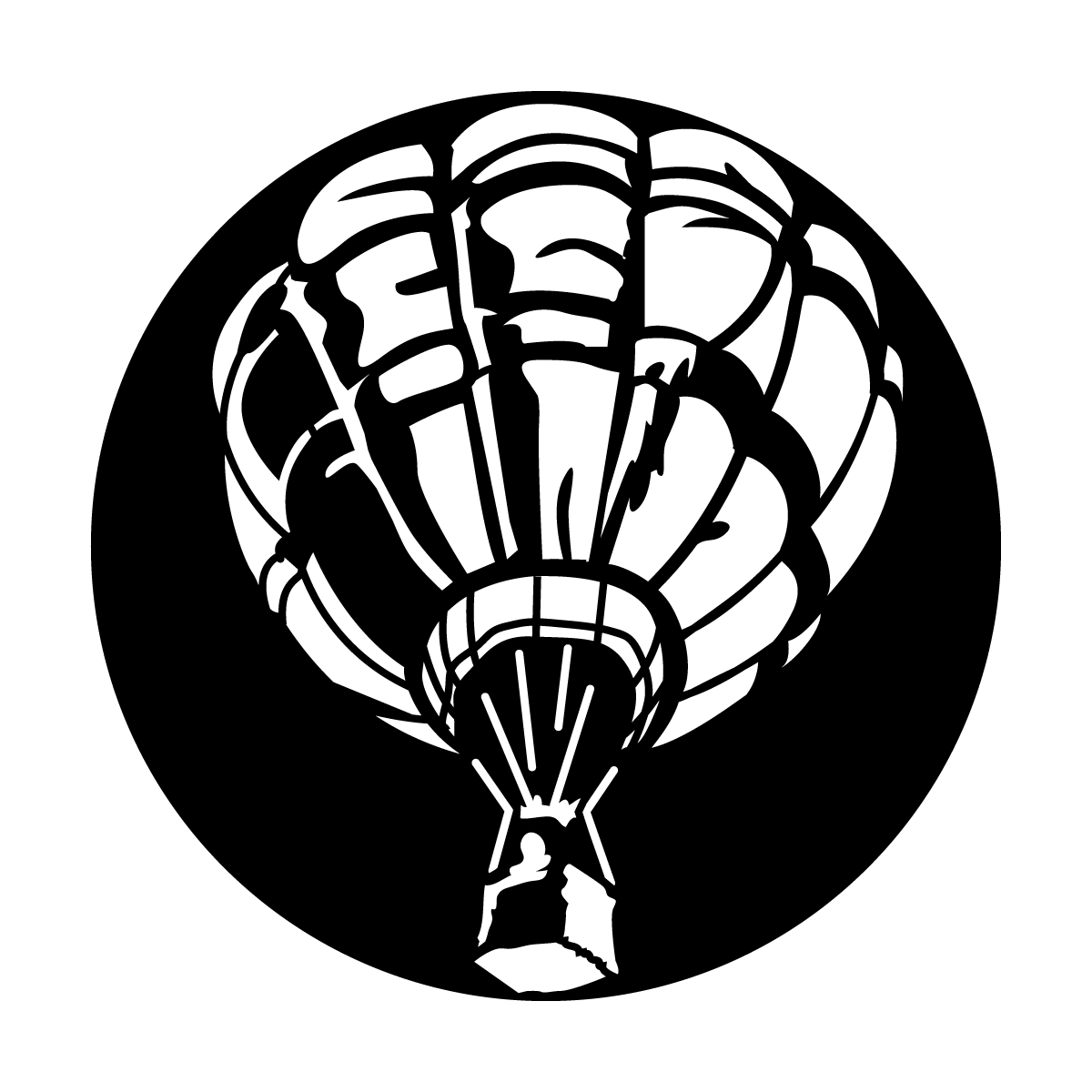 Aircraft Hot Air Balloon