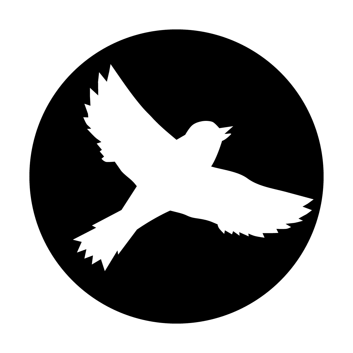 Flying Solo - Apollo Gobos