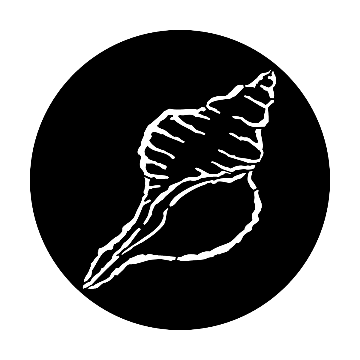 Sea Shell - Apollo Gobos