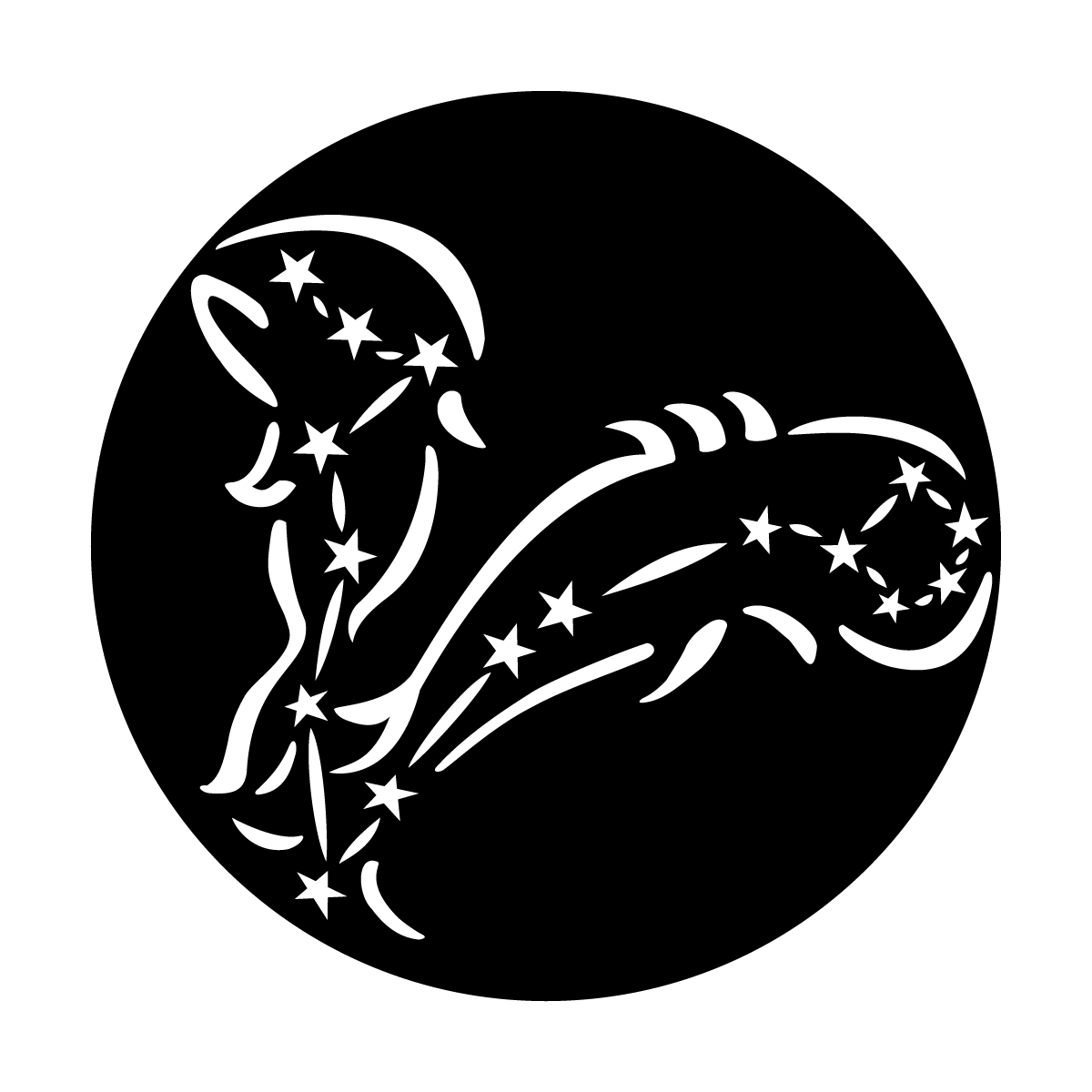 Constellations Pisces the Fish
