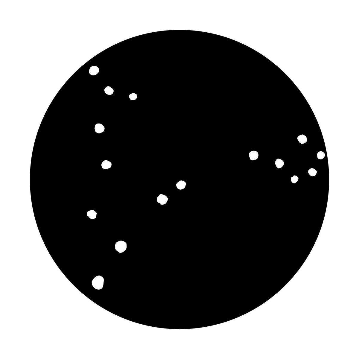 Constellations Pisces the Fish