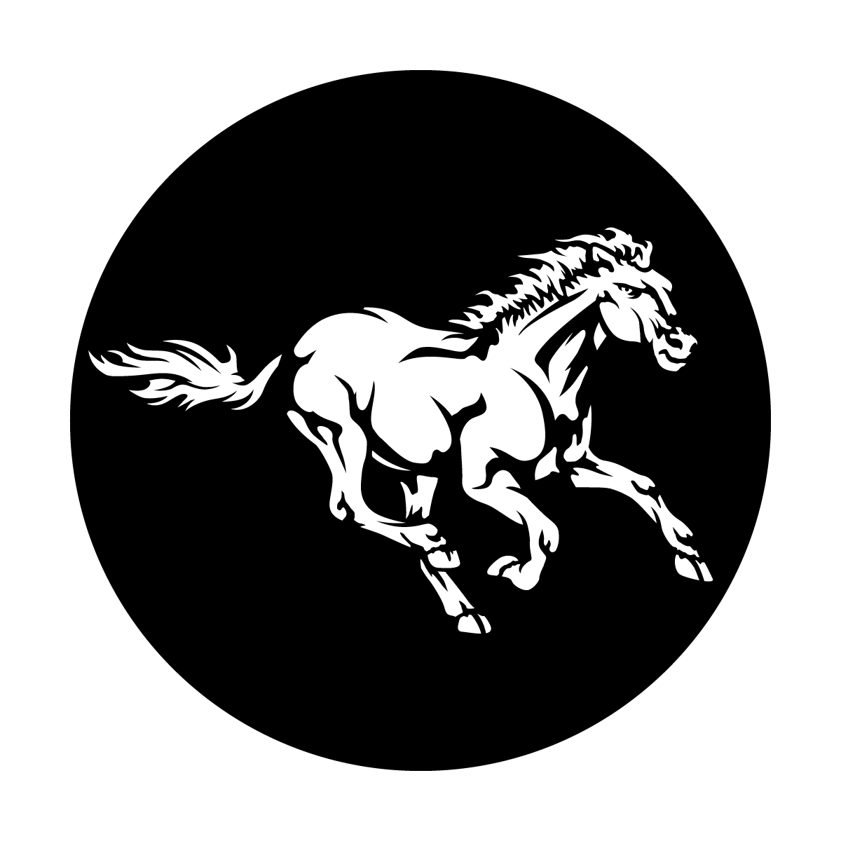 Wild Horse