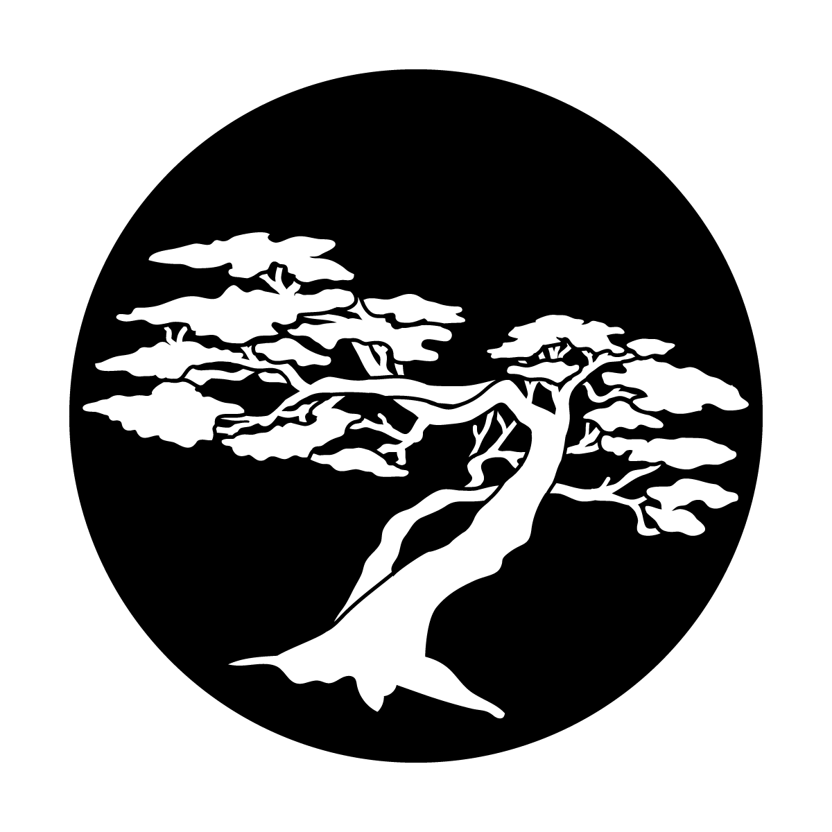 Bonsai Grow