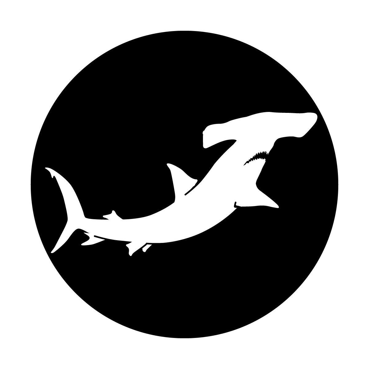 Hammerhead Shark