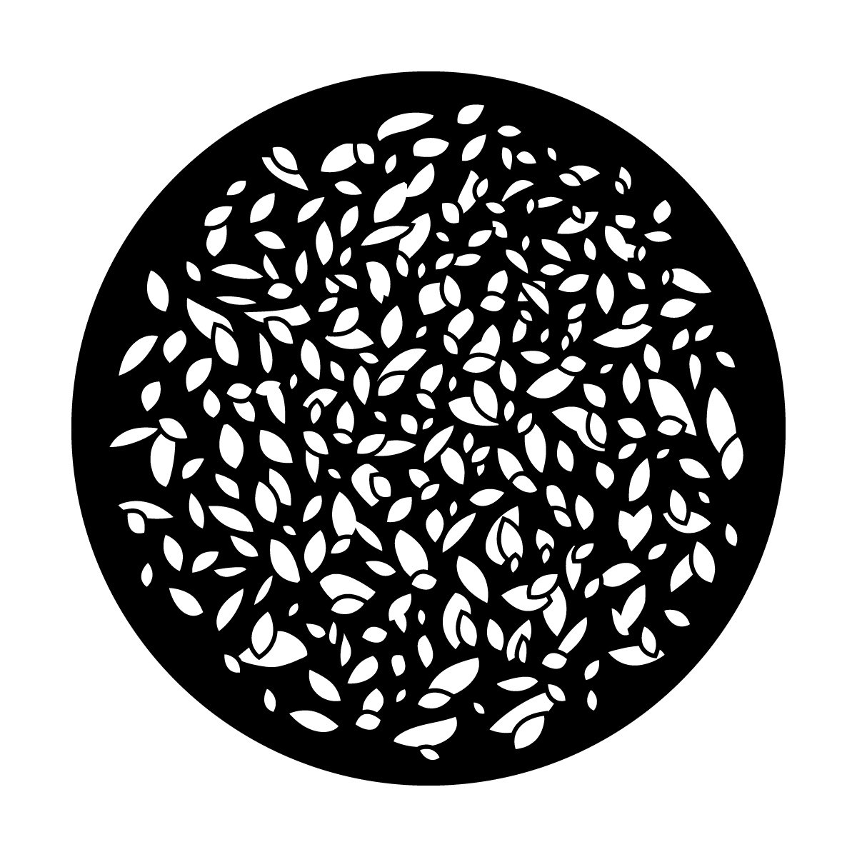 Falling Foliage