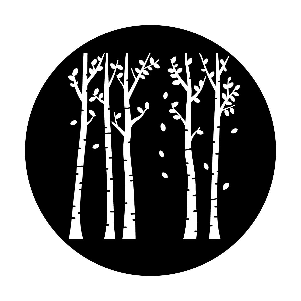 J. McDaniel - Birch Grove