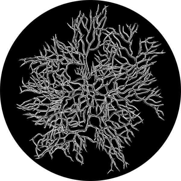 Frosted Branches - Apollo Gobos