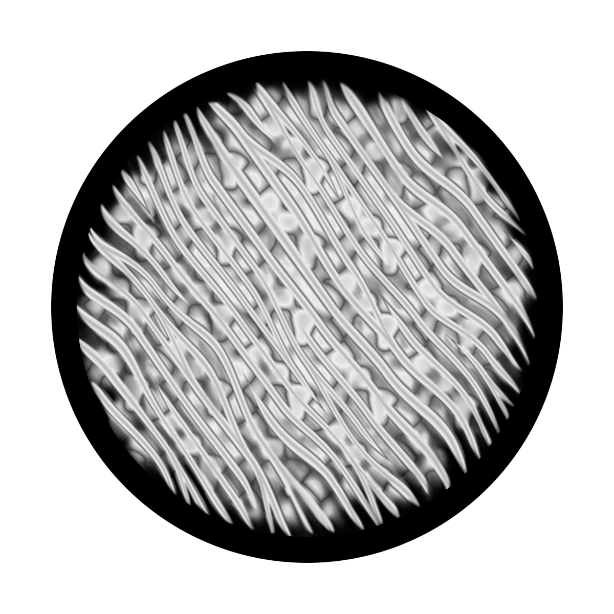 Cells