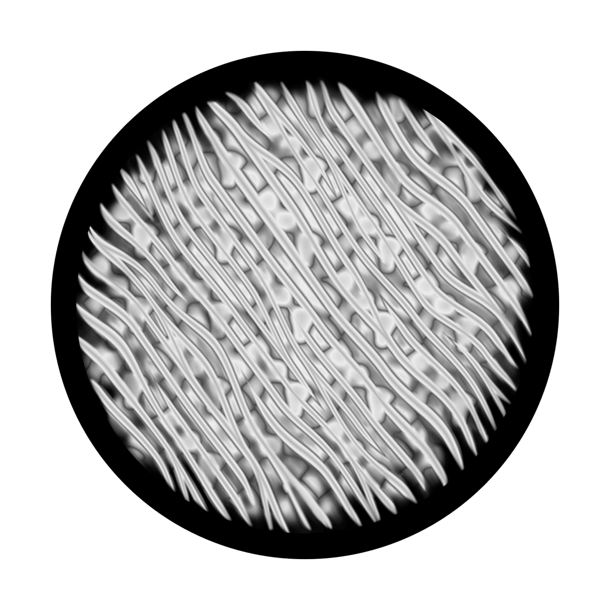 Cells - Apollo Gobos